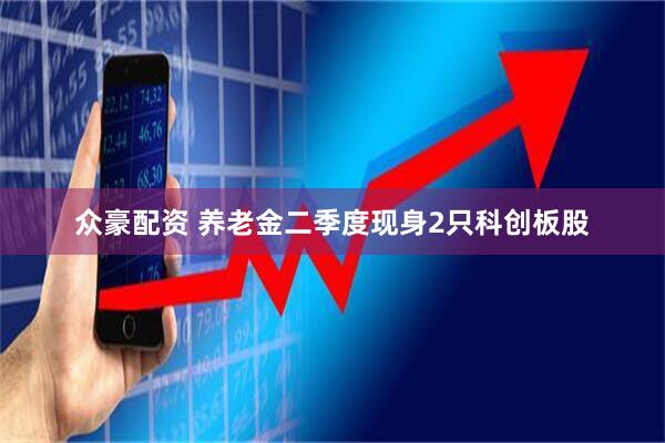 众豪配资 养老金二季度现身2只科创板股