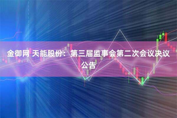 金御网 天能股份：第三届监事会第二次会议决议公告