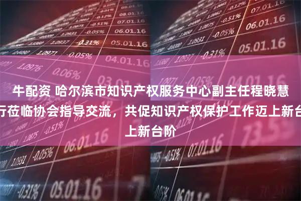 牛配资 哈尔滨市知识产权服务中心副主任程晓慧一行莅临协会指导交流，共促知识产权保护工作迈上新台阶