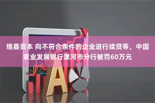 维嘉资本 向不符合条件的企业进行续贷等，中国农业发展银行漯河市分行被罚60万元