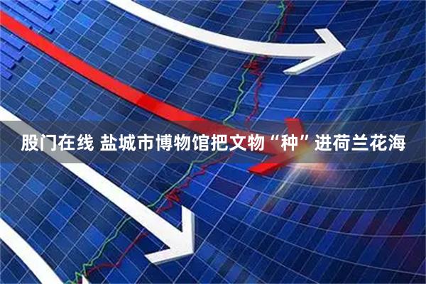 股门在线 盐城市博物馆把文物“种”进荷兰花海