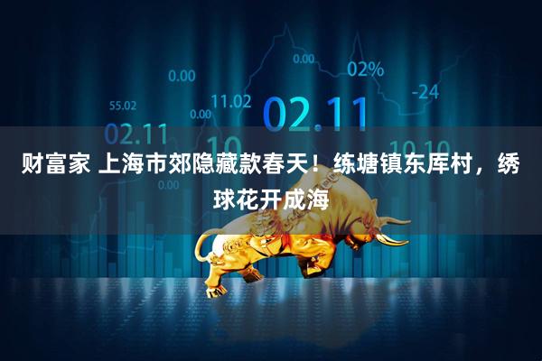 财富家 上海市郊隐藏款春天！练塘镇东厍村，绣球花开成海