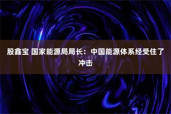 股鑫宝 国家能源局局长：中国能源体系经受住了冲击