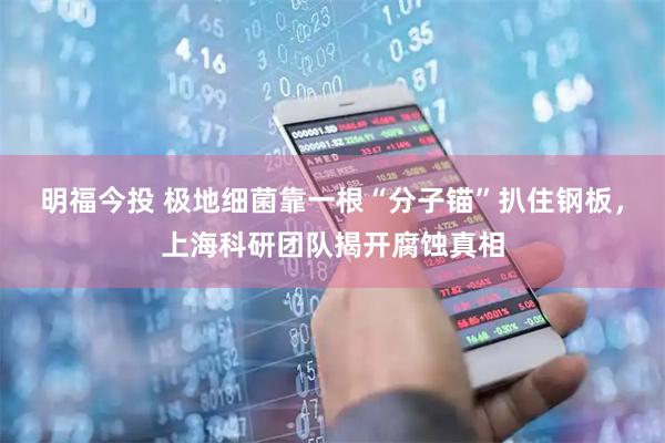 明福今投 极地细菌靠一根“分子锚”扒住钢板，上海科研团队揭开腐蚀真相